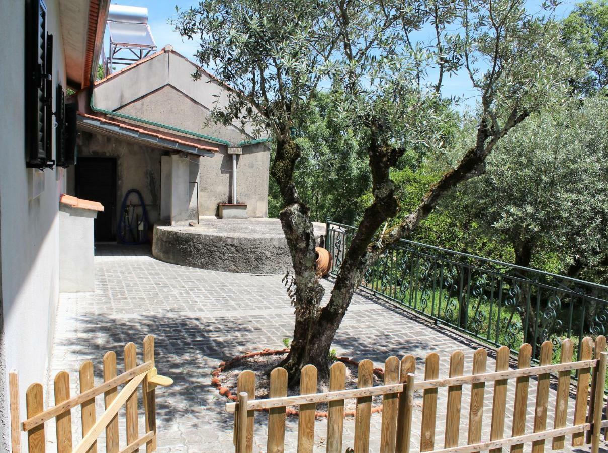 ファティマ Casa Da Maria Mocaヴィラ エクステリア 写真