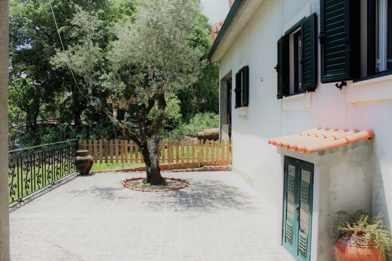 ファティマ Casa Da Maria Mocaヴィラ エクステリア 写真