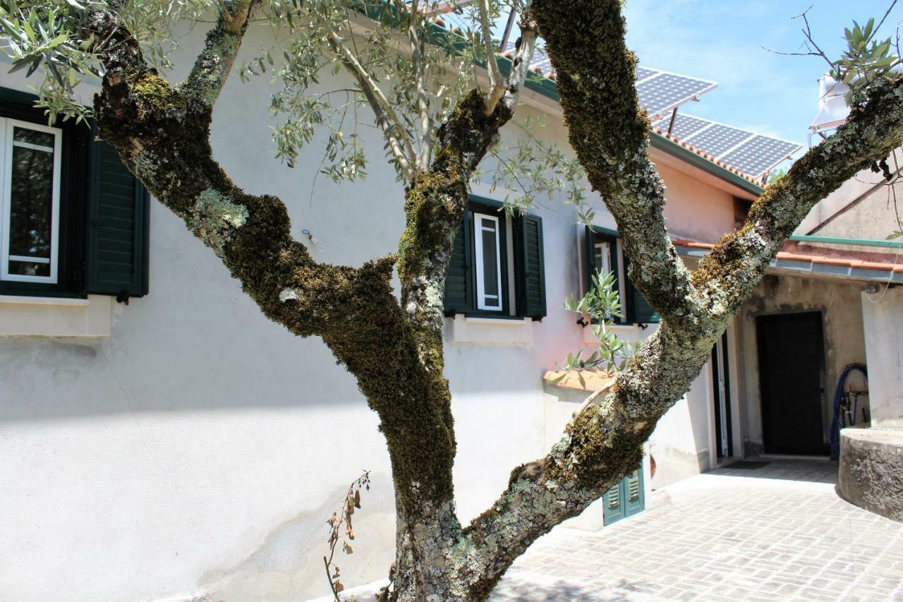 ファティマ Casa Da Maria Mocaヴィラ エクステリア 写真